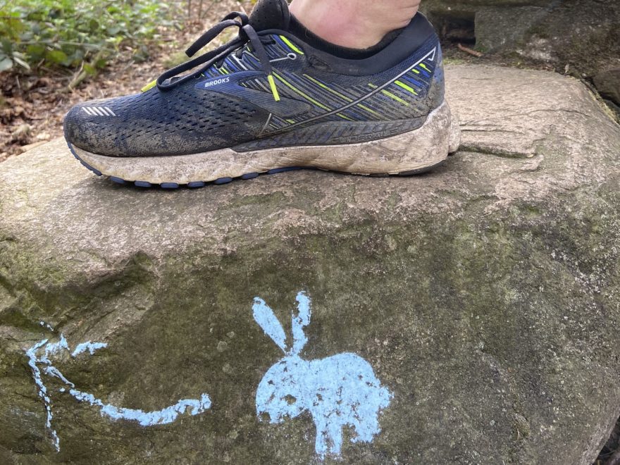 Treue Laufschuh