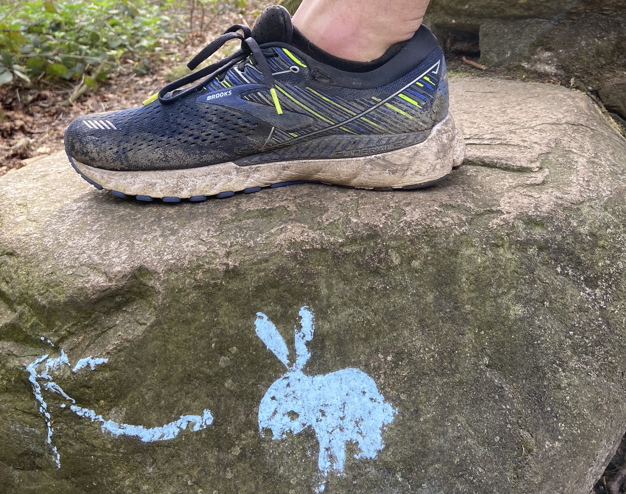 Treue Laufschuh